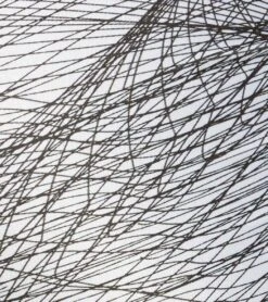 Onzie Side String Yoga Shorts Tangled -Yoga Alliance 1740105744419 tangled 5a